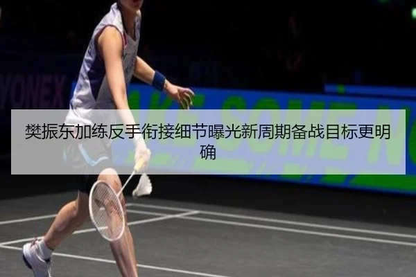 樊振东加练反手衔接细节曝光新周期备战目标更明确（bet365 sportsbook）